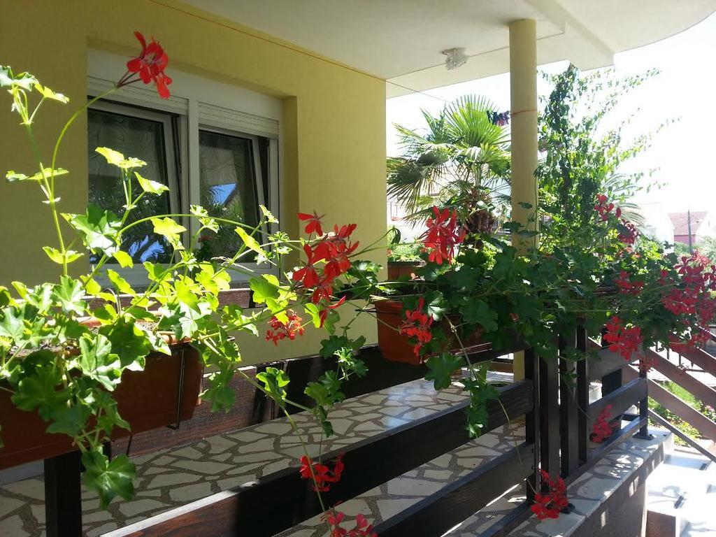 Apartment Perunika Zadar Eksteriør bilde
